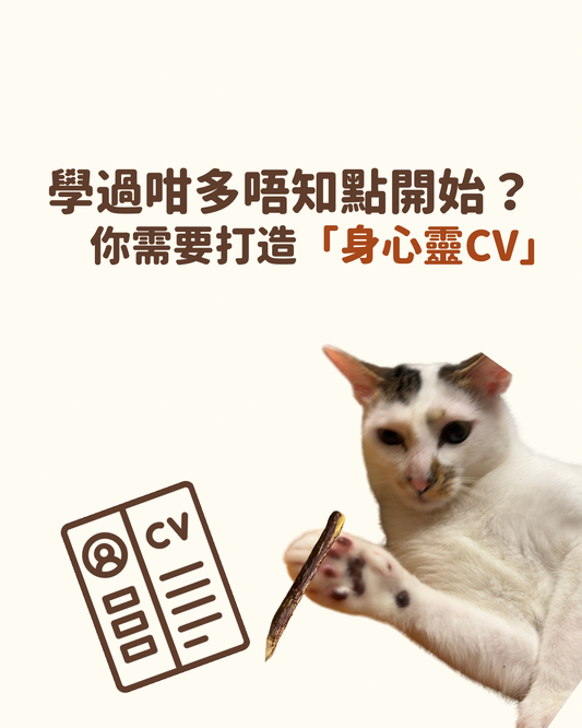 💭  學左好多「技能」但唔知點開始經營？
