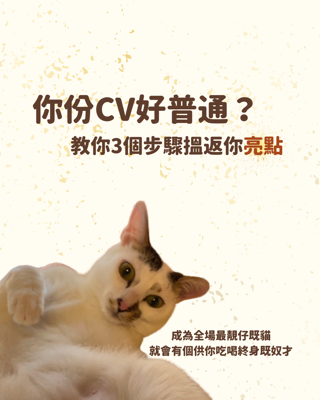 【CV技巧】Headhunt教你由普普通通變成專業！